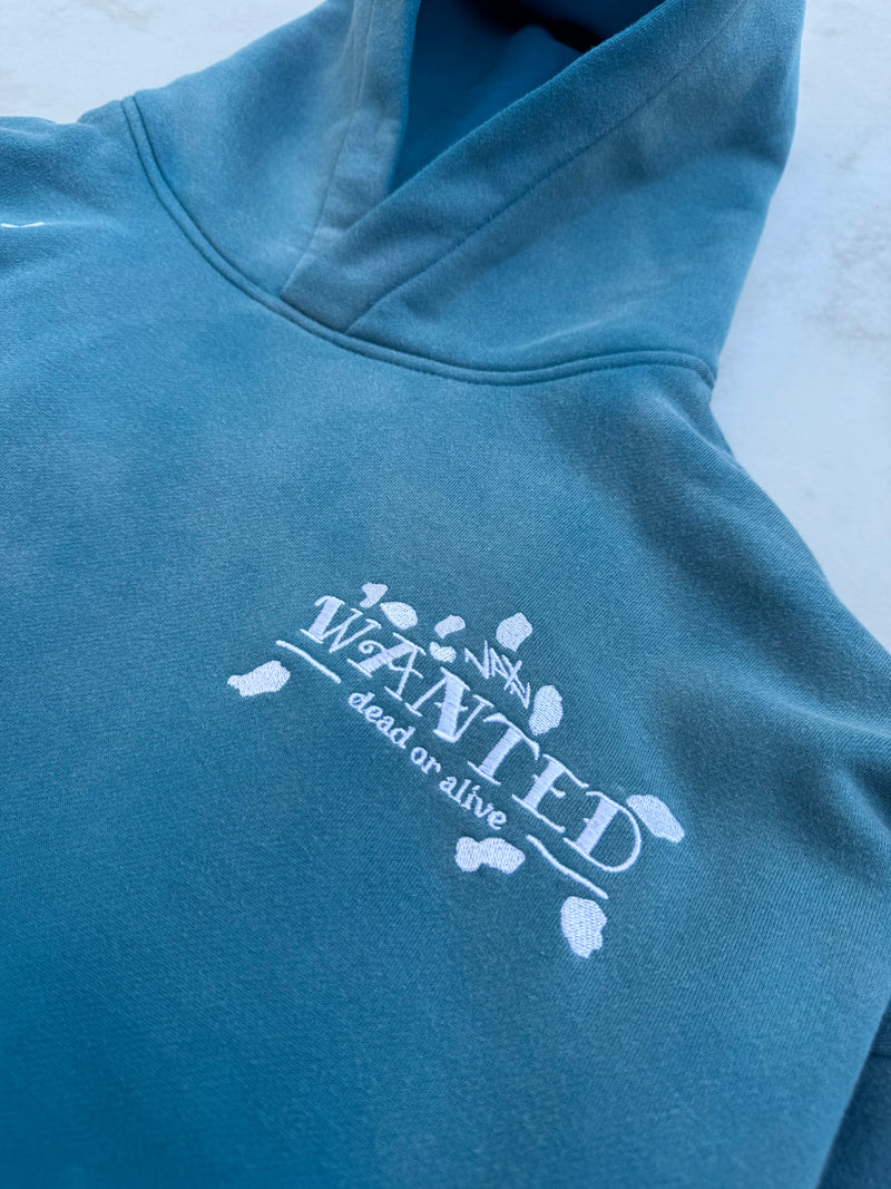PRE-ORDER: DEATH HOODIE